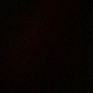 Meet your Posher, Riley